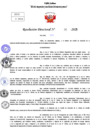 Vista preliminar de documento Resolucion Directoral N° 000030-2025