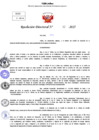 Vista preliminar de documento Resolucion Directoral N° 000032-2025