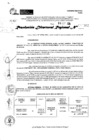 Vista preliminar de documento RDR 10362-2024