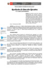 Vista preliminar de documento RDE N.13-2025-JUS-PRONACEJ
