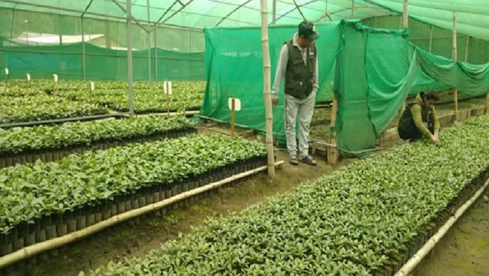 VIVERO NH 2