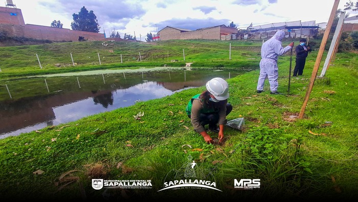 ¡¡Comprometidos con el medio ambiente en Sapallanga!!