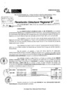 Vista preliminar de documento RDR 10381-2024