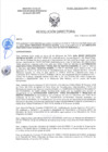 Vista preliminar de documento RD-0258-2025-DSAIA-DIRIS-LE-MINSA