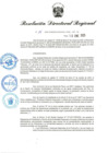 Vista preliminar de documento RDR-014-2025