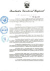 Vista preliminar de documento RDR-015-2025