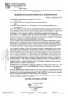 Vista preliminar de documento ACM24N269