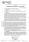 Vista preliminar de documento ACM24N271