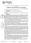 Vista preliminar de documento ACM24N272