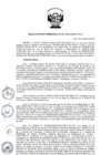 Vista preliminar de documento RP-007-2025-CONCYTEC-P