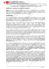 Vista preliminar de documento AD_009-2025-DPSC