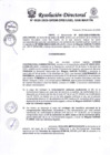 Vista preliminar de documento Resolución Directoral N° 0020-2025-GRSM-DRE-UGEL-SAN-MARTIN