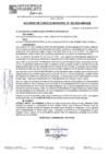 Vista preliminar de documento ACM24N282