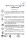 Vista preliminar de documento RER 001-2025-GOB