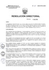 Vista preliminar de documento R.D Nº 20-2025