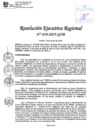 Vista preliminar de documento RER 10-2025-GOB