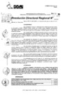 Vista preliminar de documento RDR 10382-2024