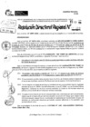 Vista preliminar de documento RDR 10384-2024