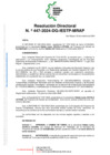 Vista preliminar de documento RD447-_2