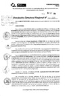 Vista preliminar de documento RDR 10386-2024