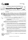 Vista preliminar de documento RDR 10388-2024
