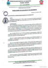 Vista preliminar de documento RESOLUCIÓN DE ALCALDÍA N°010-2024-MDPA