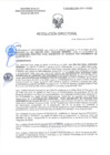 Vista preliminar de documento RD-0263-2025-DSAIA-DIRIS-LE-MINSA