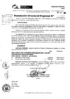 Vista preliminar de documento RDR 10389-2024