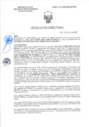 Vista preliminar de documento RD-0265-2025-DSAIA-DIRIS-LE-MINSA
