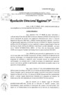 Vista preliminar de documento RDR 10391-2024