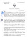 Vista preliminar de documento RD-0272-2025-DSAIA-DIRIS-LE-MINSA