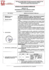 Vista preliminar de documento REQUERIMIENTO Nº 007-2025-SBPM-GG-GAC-GGF