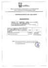 Vista preliminar de documento CONTRATACION Nº 007-2025-SBPM