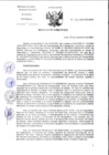 Vista preliminar de documento RD-331-2024-DG-INCN