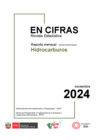 Vista preliminar de documento Estadística Subsector Hidrocarburos noviembre 2024