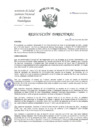 Vista preliminar de documento RD-334-2024-INCN-OP-DG