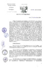Vista preliminar de documento RD-335-2024-DG-INCN