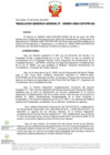 Vista preliminar de documento RGG Nº D000001-2025-GG