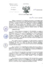 Vista preliminar de documento RD-341-2024-DG-INCN