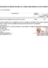 Vista preliminar de documento Anexo 06 - Aprobación de Modificaciones CMN N° 0002-2025