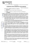 Vista preliminar de documento ACM24N286