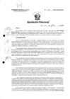 Vista preliminar de documento R.D. 716-2024