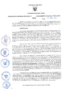 Vista preliminar de documento RES-021-2025-GRDS