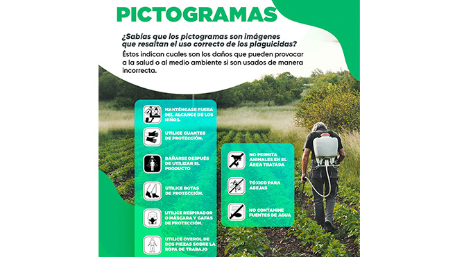 A través de la Gerencia de Desarrollo Económico