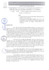 Vista preliminar de documento N.º 050-2025-GRSM/DIRESA-SM/OGESS-AH/DG