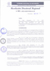 Vista preliminar de documento RDR 001-2025