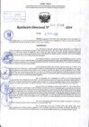 Vista preliminar de documento R.D 2209-2024