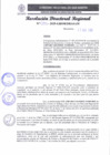 Vista preliminar de documento RDR 004-2025