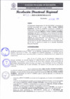 Vista preliminar de documento RDR 005-2025