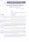 Vista preliminar de documento RDR 006-2025